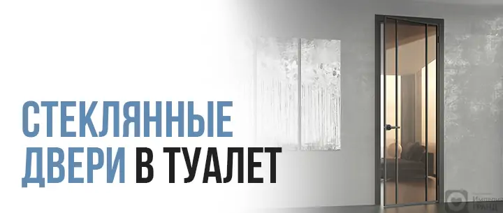 Стеклянные двери в туалет – особенности, плюсы и минусы